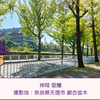 【長良川】神岡亜蘭 (投手)　パワプロ2024-2025