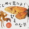 【2021年7月】投資状況