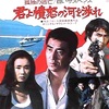 <span itemprop="headline">映画「君よ憤怒の河を渉れ」（1976）</span>