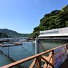 🐬あわしまマリンパーク❗️無人島にある水族館です😊