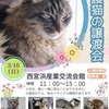 西宮浜｜2025年3月16日（日） 西宮浜産業交流会館で『保護猫🐈‍⬛譲渡会』が開催！ 