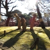 三が日の殿ヶ谷戸庭園に行ってきました