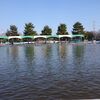 前日放流 / 川越水上公園 / 2.27.sat.2016　