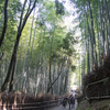 嵐山・竹林の小径～観光客による竹への落書き傷