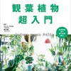 ずぼらな私でも長年にわたり育てている観葉植物．．