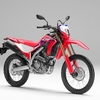 2021 Honda CRF250L/CRF250 RALLY