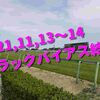 2021,11,13～14 トラックバイアス結果 (東京競馬場、阪神競馬場、福島競馬場)