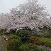 埼玉県のヤマギシの村で「春の集い」