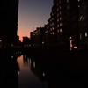🌇夕方の神田川