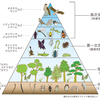 動物と人間と生態系と地球