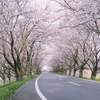 結婚を叶えるための幸せな人生計画