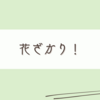 冬場のお花に大喜び