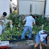 薩摩芋の日