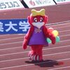 ５年ぶりの京都へ！