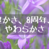 豊かさ、8周年、やわらかさ