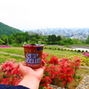 ある日の足取り・・その①　ツツジの花を食べる。　旭山記念公園～北海道神宮～円山動物園