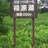 檜原湖31キロ走(福島県裏磐梯)