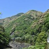 山のモコモコ
