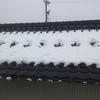 雪がしんしんと・・・