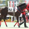 秋競馬開幕、スーパー未勝利も開幕、パンデイアは・・・