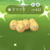 タマタマの色違いの金◯マを続けてゲット！！
