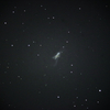 衝突する銀河 NGC520 うお座