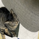 remon0722のブログ