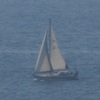帆をはらみヨット走らす島の風