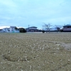 浜ちゃんの散歩道(３８８)       近所の田んぼも土起こしが行われた、田んぼには野鳥がやってきて活発に動き回っていた 