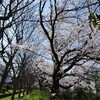 山のパン屋　そして春本番