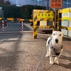 踏切発見したこと