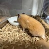 みるくあん288日目