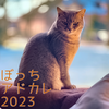 2023年の振り返り【アドカレ2023/3日目】