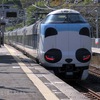 紅葉とパンダ電車を狙う・・・しかし残念！