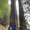 自分で自分を満たしていくと、自然と運命の人に出会っていく。