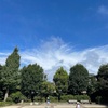 ひさびさの公園遊びと、ダブルレインボー🌈