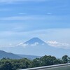 虫