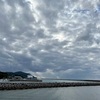 12/02木曜　風　収まるも曇天　夕刻水遣り雨