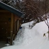 昨日の湿った降雪、そして今日