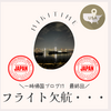 一時帰国ブログ１７　フライト欠航・・・