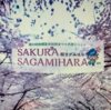 「SAKURA SAGAMIHARA 」ドローン視点の映像！（2022/4/2）