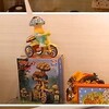 キノコの集い