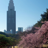 油断するな