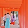 今年初の奈良公園散策！・・・春日大社　石燈籠