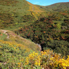 登山㉟_みたびの秋田駒ケ岳（初秋）