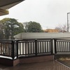 3月 李
