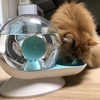 猫の水飲み器を「スネイル　ウォーター　フィーダー」に変更したら色々捗った