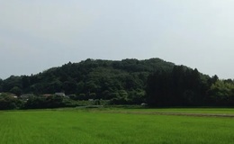 記事を見る
