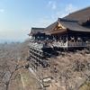 2323～2024　年末年始を家族と大阪で過ごす