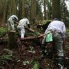 花の季節を前に、何時もの山で…